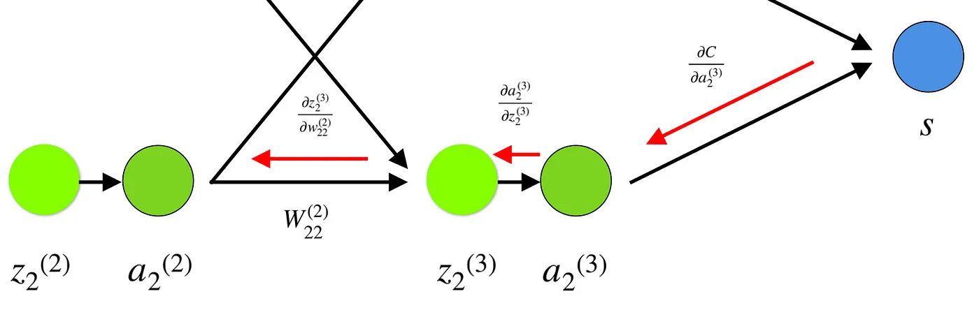 Backward Propagation